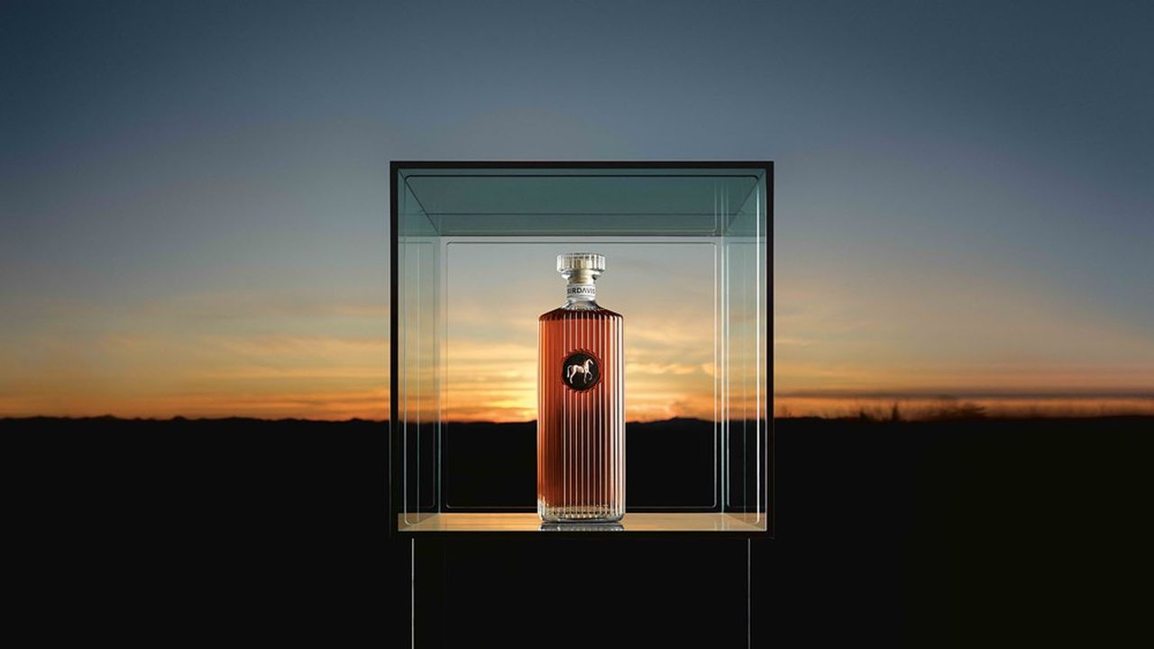Bouteille de whisky premium de collection sur fond sombre