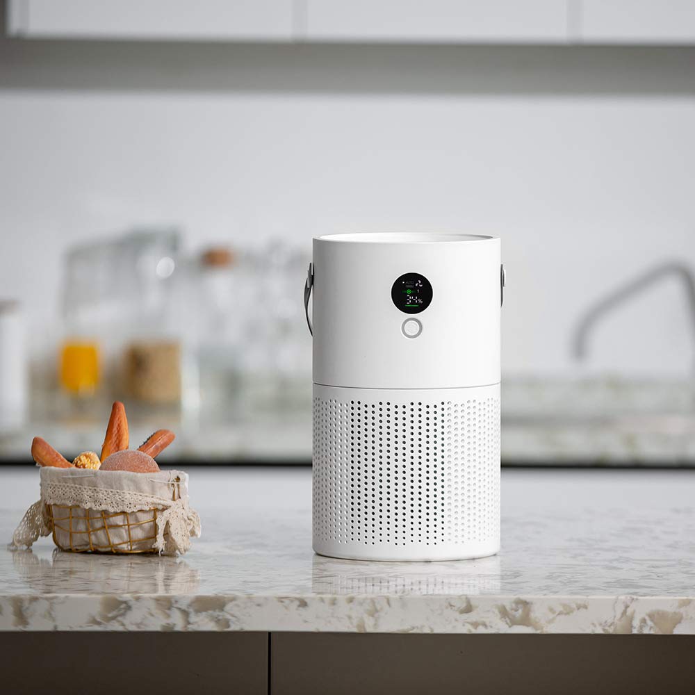 Freshia Air Purifier, purificateur d'air compact et portable